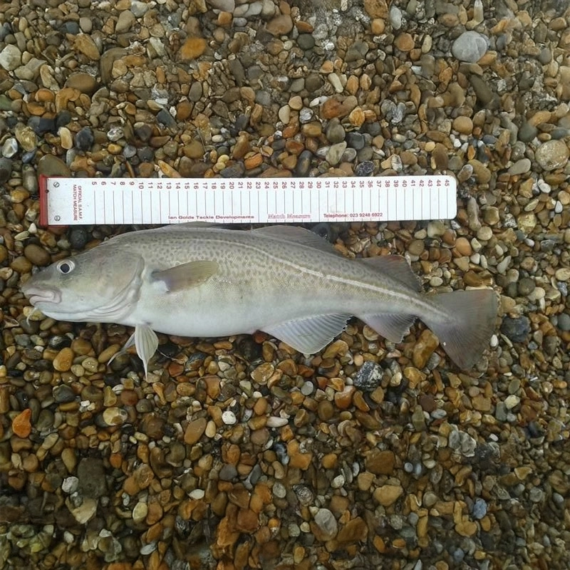 Ian Golds Match Measures
